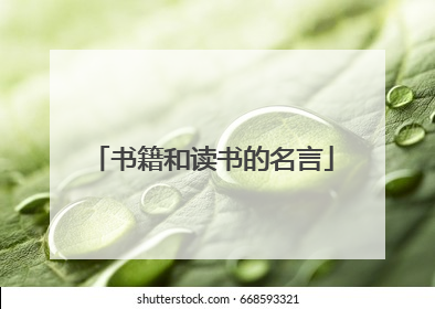 书籍和读书的名言