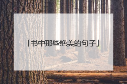 书中那些绝美的句子