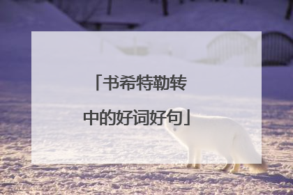 书希特勒转 中的好词好句