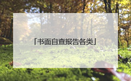 书面自查报告各类