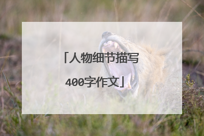 人物细节描写400字作文