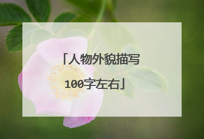 人物外貌描写100字左右