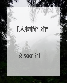 人物描写作文500字