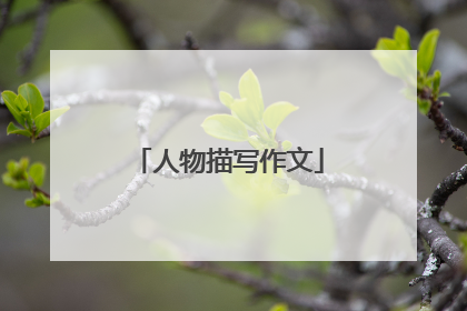 人物描写作文