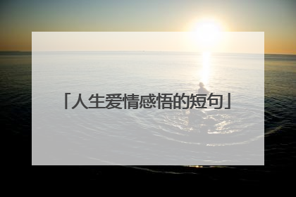 人生爱情感悟的短句