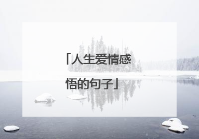 人生爱情感悟的句子