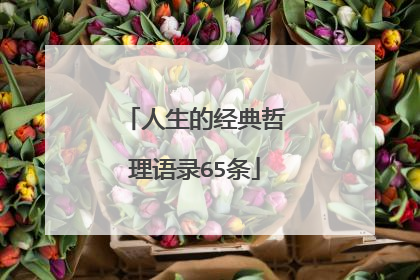 人生的经典哲理语录65条