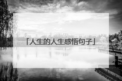 人生的人生感悟句子