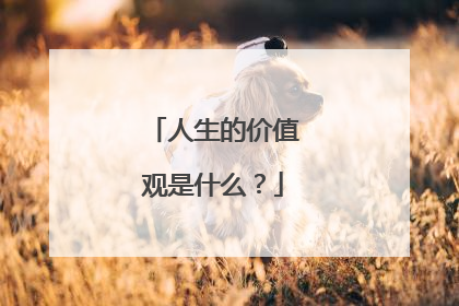 人生的价值观是什么？