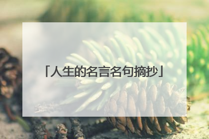 人生的名言名句摘抄