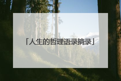 人生的哲理语录摘录