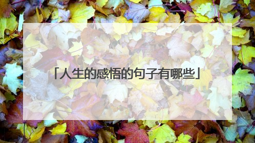 人生的感悟的句子有哪些