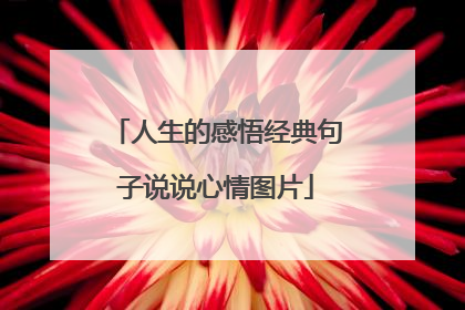 人生的感悟经典句子说说心情图片