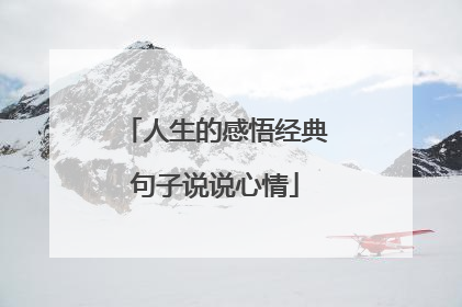 人生的感悟经典句子说说心情