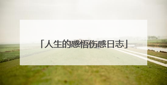 人生的感悟伤感日志