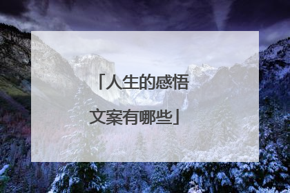 人生的感悟文案有哪些
