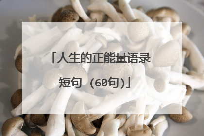 人生的正能量语录短句 (60句)