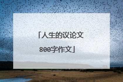 人生的议论文800字作文