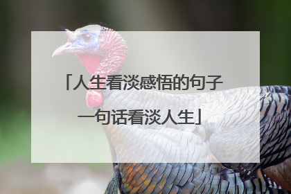 人生看淡感悟的句子 一句话看淡人生