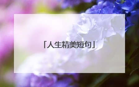 人生精美短句