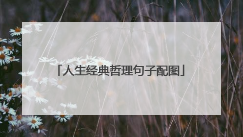 人生经典哲理句子配图