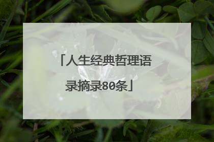人生经典哲理语录摘录80条