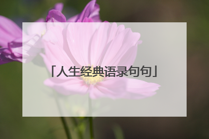 人生经典语录句句