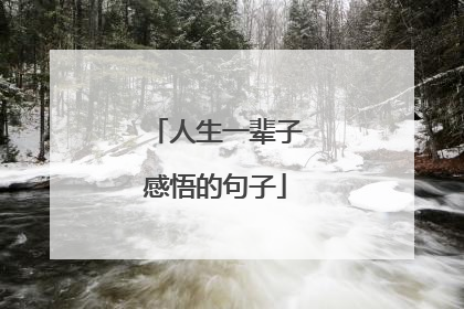 人生一辈子感悟的句子