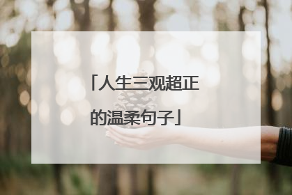 人生三观超正的温柔句子