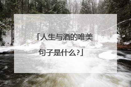 人生与酒的唯美句子是什么?