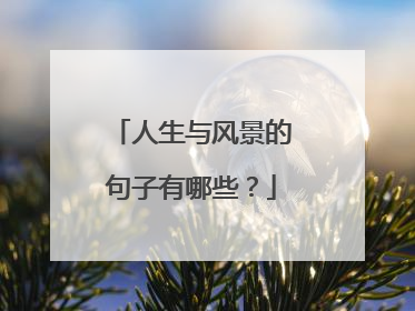 人生与风景的句子有哪些？