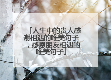 人生中的贵人感谢相遇的唯美句子，感恩朋友相遇的唯美句子