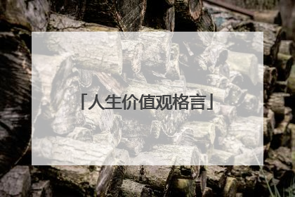 人生价值观格言