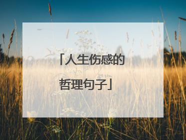人生伤感的哲理句子