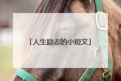 人生励志的小短文