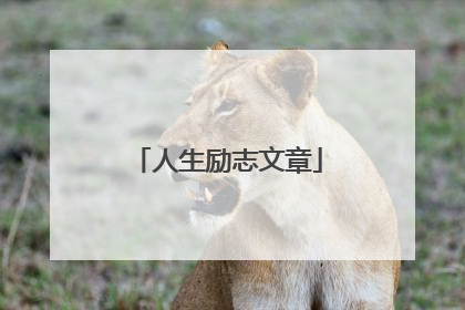 人生励志文章