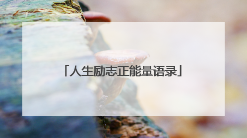 人生励志正能量语录