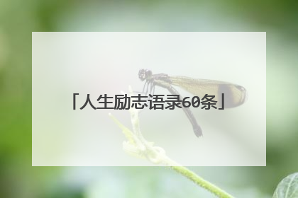 人生励志语录60条