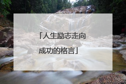 人生励志走向成功的格言