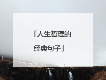 人生哲理的经典句子