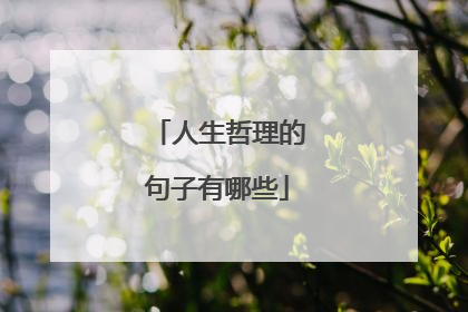 人生哲理的句子有哪些