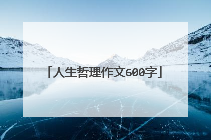 人生哲理作文600字