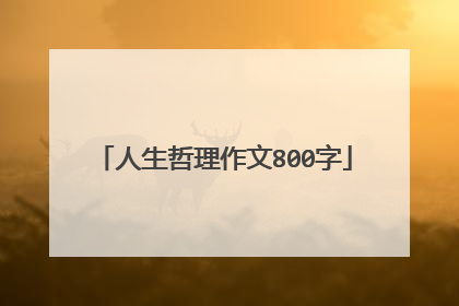 人生哲理作文800字