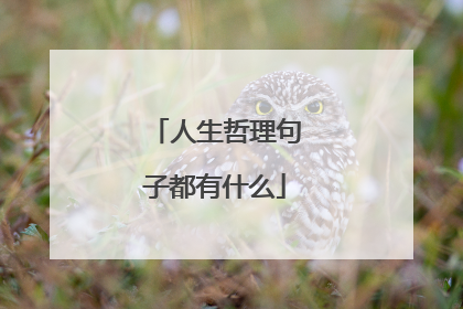 人生哲理句子都有什么