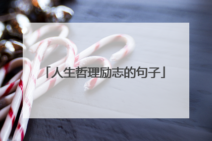 人生哲理励志的句子