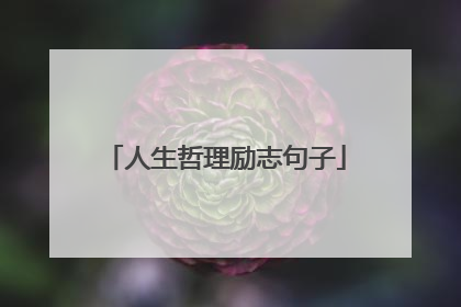 人生哲理励志句子