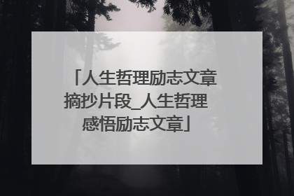 人生哲理励志文章摘抄片段_人生哲理感悟励志文章