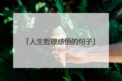 人生哲理感悟的句子