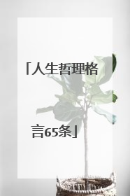 人生哲理格言65条