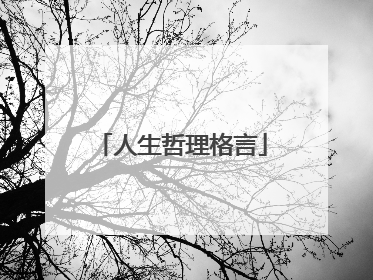 人生哲理格言